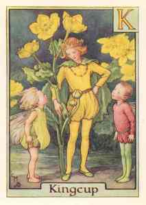 flower-fairies-alphabet-c1940-s.-k-kingcup.-old-color-print-wdjb--130098-p
